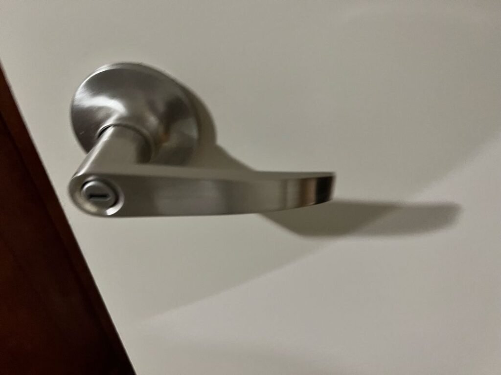 Stainless steel privacy lever handle on a white door with a wooden frame